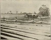 An illustration from Style (1904) (1904)