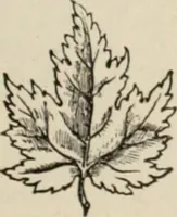 An illustration from Style (1904) (1904)