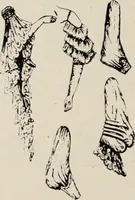 An illustration from Style (1904) (1904)