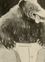 An illustration from Style (1904) (1904)