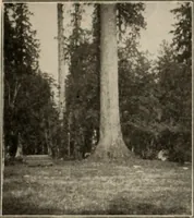 An illustration from Style (1904) (1904)