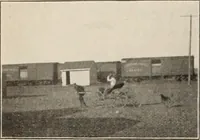 An illustration from Style (1904) (1904)
