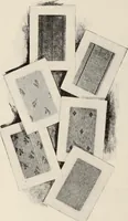 An illustration from Style (1904) (1904)