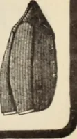 An illustration from Style (1904) (1904)