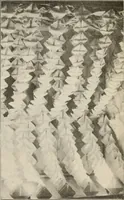 An illustration from Style (1904) (1904)