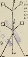 An illustration from Style (1904) (1904)
