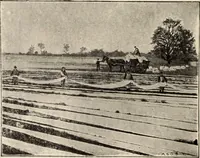 An illustration from Style (1904) (1904)