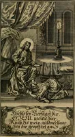 Picture 17 of 30 from D. Heinrich Müllers Thränen- und Trost-Quelle : bey Erklärung der Geschichte, von der grossen Sünderin ... anietzo aufs neue bey jeder Betrachtung mit Vorbereitungs- Busz- und Beicht-Gebeten versehen : samt einer Anweisung zur Sing- und Bibel-Andacht, ... und einer Vorrede Hn. D. Michael Reinhard, mit Kupffer-Stichen gezieret (1724), leaf 394
