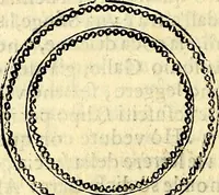 An illustration from Dialoghi di d. Antonio Agostini arcivescovo de Tarracona; sopra le medaglie, iscrizioni, e altre antichita: (1698)