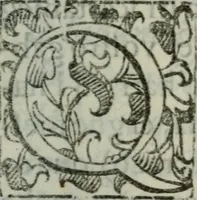 An illustration from Dialogo de Cecco di Ronchitti ... in perpvosito de la stella nvova : ... con alcune ottaue d'incerto, per la medesima stella contra Aristotele (1605)