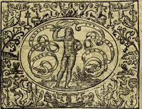 An illustration from Dialogo de las empresas militares, y amorosas, compuesto en lengua italiana, por el illvstre, y reverendissimo señor Paulo Iouio obispo de Nucera . En el qval se tracta de las devisas, armas, motes, o blasones de linages. Con vn razonemiento a esse proposito, del magnifico señot Ludouico Domeniqui. Todo nueuamente traduzido en romance castellano, por Alonso de Vlloa. Anadimos a esto las empresas heroicas, y morales, del señor Gabriel Symeon (1561)
