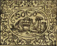 An illustration from Dialogo de las empresas militares, y amorosas, compuesto en lengua italiana, por el illvstre, y reverendissimo señor Paulo Iouio obispo de Nucera . En el qval se tracta de las devisas, armas, motes, o blasones de linages. Con vn razonemiento a esse proposito, del magnifico señot Ludouico Domeniqui. Todo nueuamente traduzido en romance castellano, por Alonso de Vlloa. Anadimos a esto las empresas heroicas, y morales, del señor Gabriel Symeon (1561)