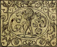 An illustration from Dialogo de las empresas militares, y amorosas, compuesto en lengua italiana, por el illvstre, y reverendissimo señor Paulo Iouio obispo de Nucera . En el qval se tracta de las devisas, armas, motes, o blasones de linages. Con vn razonemiento a esse proposito, del magnifico señot Ludouico Domeniqui. Todo nueuamente traduzido en romance castellano, por Alonso de Vlloa. Anadimos a esto las empresas heroicas, y morales, del señor Gabriel Symeon (1561)