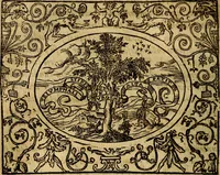 An illustration from Dialogo de las empresas militares, y amorosas, compuesto en lengua italiana, por el illvstre, y reverendissimo señor Paulo Iouio obispo de Nucera . En el qval se tracta de las devisas, armas, motes, o blasones de linages. Con vn razonemiento a esse proposito, del magnifico señot Ludouico Domeniqui. Todo nueuamente traduzido en romance castellano, por Alonso de Vlloa. Anadimos a esto las empresas heroicas, y morales, del señor Gabriel Symeon (1561)