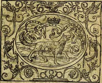 An illustration from Dialogo de las empresas militares, y amorosas, compuesto en lengua italiana, por el illvstre, y reverendissimo señor Paulo Iouio obispo de Nucera . En el qval se tracta de las devisas, armas, motes, o blasones de linages. Con vn razonemiento a esse proposito, del magnifico señot Ludouico Domeniqui. Todo nueuamente traduzido en romance castellano, por Alonso de Vlloa. Anadimos a esto las empresas heroicas, y morales, del señor Gabriel Symeon (1561)