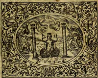 An illustration from Dialogo de las empresas militares, y amorosas, compuesto en lengua italiana, por el illvstre, y reverendissimo señor Paulo Iouio obispo de Nucera . En el qval se tracta de las devisas, armas, motes, o blasones de linages. Con vn razonemiento a esse proposito, del magnifico señot Ludouico Domeniqui. Todo nueuamente traduzido en romance castellano, por Alonso de Vlloa. Anadimos a esto las empresas heroicas, y morales, del señor Gabriel Symeon (1561)
