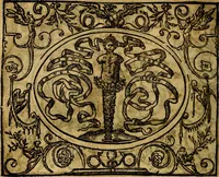 An illustration from Dialogo de las empresas militares, y amorosas, compuesto en lengua italiana, por el illvstre, y reverendissimo señor Paulo Iouio obispo de Nucera . En el qval se tracta de las devisas, armas, motes, o blasones de linages. Con vn razonemiento a esse proposito, del magnifico señot Ludouico Domeniqui. Todo nueuamente traduzido en romance castellano, por Alonso de Vlloa. Anadimos a esto las empresas heroicas, y morales, del señor Gabriel Symeon (1561)