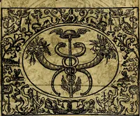 An illustration from Dialogo de las empresas militares, y amorosas, compuesto en lengua italiana, por el illvstre, y reverendissimo señor Paulo Iouio obispo de Nucera . En el qval se tracta de las devisas, armas, motes, o blasones de linages. Con vn razonemiento a esse proposito, del magnifico señot Ludouico Domeniqui. Todo nueuamente traduzido en romance castellano, por Alonso de Vlloa. Anadimos a esto las empresas heroicas, y morales, del señor Gabriel Symeon (1561)