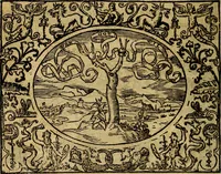 An illustration from Dialogo de las empresas militares, y amorosas, compuesto en lengua italiana, por el illvstre, y reverendissimo señor Paulo Iouio obispo de Nucera . En el qval se tracta de las devisas, armas, motes, o blasones de linages. Con vn razonemiento a esse proposito, del magnifico señot Ludouico Domeniqui. Todo nueuamente traduzido en romance castellano, por Alonso de Vlloa. Anadimos a esto las empresas heroicas, y morales, del señor Gabriel Symeon (1561)
