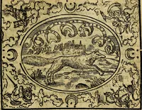 An illustration from Dialogo de las empresas militares, y amorosas, compuesto en lengua italiana, por el illvstre, y reverendissimo señor Paulo Iouio obispo de Nucera . En el qval se tracta de las devisas, armas, motes, o blasones de linages. Con vn razonemiento a esse proposito, del magnifico señot Ludouico Domeniqui. Todo nueuamente traduzido en romance castellano, por Alonso de Vlloa. Anadimos a esto las empresas heroicas, y morales, del señor Gabriel Symeon (1561)
