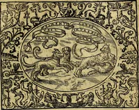 An illustration from Dialogo de las empresas militares, y amorosas, compuesto en lengua italiana, por el illvstre, y reverendissimo señor Paulo Iouio obispo de Nucera . En el qval se tracta de las devisas, armas, motes, o blasones de linages. Con vn razonemiento a esse proposito, del magnifico señot Ludouico Domeniqui. Todo nueuamente traduzido en romance castellano, por Alonso de Vlloa. Anadimos a esto las empresas heroicas, y morales, del señor Gabriel Symeon (1561)