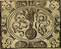 An illustration from Dialogo de las empresas militares, y amorosas, compuesto en lengua italiana, por el illvstre, y reverendissimo señor Paulo Iouio obispo de Nucera . En el qval se tracta de las devisas, armas, motes, o blasones de linages. Con vn razonemiento a esse proposito, del magnifico señot Ludouico Domeniqui. Todo nueuamente traduzido en romance castellano, por Alonso de Vlloa. Anadimos a esto las empresas heroicas, y morales, del señor Gabriel Symeon (1561)