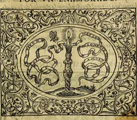 An illustration from Dialogo de las empresas militares, y amorosas, compuesto en lengua italiana, por el illvstre, y reverendissimo señor Paulo Iouio obispo de Nucera . En el qval se tracta de las devisas, armas, motes, o blasones de linages. Con vn razonemiento a esse proposito, del magnifico señot Ludouico Domeniqui. Todo nueuamente traduzido en romance castellano, por Alonso de Vlloa. Anadimos a esto las empresas heroicas, y morales, del señor Gabriel Symeon (1561)