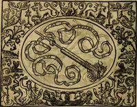 An illustration from Dialogo de las empresas militares, y amorosas, compuesto en lengua italiana, por el illvstre, y reverendissimo señor Paulo Iouio obispo de Nucera . En el qval se tracta de las devisas, armas, motes, o blasones de linages. Con vn razonemiento a esse proposito, del magnifico señot Ludouico Domeniqui. Todo nueuamente traduzido en romance castellano, por Alonso de Vlloa. Anadimos a esto las empresas heroicas, y morales, del señor Gabriel Symeon (1561)