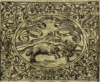 An illustration from Dialogo de las empresas militares, y amorosas, compuesto en lengua italiana, por el illvstre, y reverendissimo señor Paulo Iouio obispo de Nucera . En el qval se tracta de las devisas, armas, motes, o blasones de linages. Con vn razonemiento a esse proposito, del magnifico señot Ludouico Domeniqui. Todo nueuamente traduzido en romance castellano, por Alonso de Vlloa. Anadimos a esto las empresas heroicas, y morales, del señor Gabriel Symeon (1561)