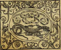 An illustration from Dialogo de las empresas militares, y amorosas, compuesto en lengua italiana, por el illvstre, y reverendissimo señor Paulo Iouio obispo de Nucera . En el qval se tracta de las devisas, armas, motes, o blasones de linages. Con vn razonemiento a esse proposito, del magnifico señot Ludouico Domeniqui. Todo nueuamente traduzido en romance castellano, por Alonso de Vlloa. Anadimos a esto las empresas heroicas, y morales, del señor Gabriel Symeon (1561)