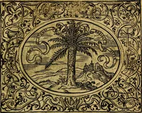 An illustration from Dialogo de las empresas militares, y amorosas, compuesto en lengua italiana, por el illvstre, y reverendissimo señor Paulo Iouio obispo de Nucera . En el qval se tracta de las devisas, armas, motes, o blasones de linages. Con vn razonemiento a esse proposito, del magnifico señot Ludouico Domeniqui. Todo nueuamente traduzido en romance castellano, por Alonso de Vlloa. Anadimos a esto las empresas heroicas, y morales, del señor Gabriel Symeon (1561)