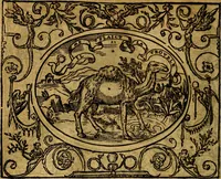 An illustration from Dialogo de las empresas militares, y amorosas, compuesto en lengua italiana, por el illvstre, y reverendissimo señor Paulo Iouio obispo de Nucera . En el qval se tracta de las devisas, armas, motes, o blasones de linages. Con vn razonemiento a esse proposito, del magnifico señot Ludouico Domeniqui. Todo nueuamente traduzido en romance castellano, por Alonso de Vlloa. Anadimos a esto las empresas heroicas, y morales, del señor Gabriel Symeon (1561)