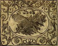 An illustration from Dialogo de las empresas militares, y amorosas, compuesto en lengua italiana, por el illvstre, y reverendissimo señor Paulo Iouio obispo de Nucera . En el qval se tracta de las devisas, armas, motes, o blasones de linages. Con vn razonemiento a esse proposito, del magnifico señot Ludouico Domeniqui. Todo nueuamente traduzido en romance castellano, por Alonso de Vlloa. Anadimos a esto las empresas heroicas, y morales, del señor Gabriel Symeon (1561)