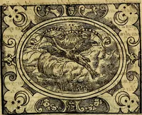 An illustration from Dialogo de las empresas militares, y amorosas, compuesto en lengua italiana, por el illvstre, y reverendissimo señor Paulo Iouio obispo de Nucera . En el qval se tracta de las devisas, armas, motes, o blasones de linages. Con vn razonemiento a esse proposito, del magnifico señot Ludouico Domeniqui. Todo nueuamente traduzido en romance castellano, por Alonso de Vlloa. Anadimos a esto las empresas heroicas, y morales, del señor Gabriel Symeon (1561)