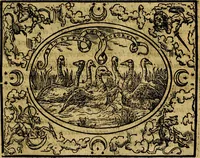 An illustration from Dialogo de las empresas militares, y amorosas, compuesto en lengua italiana, por el illvstre, y reverendissimo señor Paulo Iouio obispo de Nucera . En el qval se tracta de las devisas, armas, motes, o blasones de linages. Con vn razonemiento a esse proposito, del magnifico señot Ludouico Domeniqui. Todo nueuamente traduzido en romance castellano, por Alonso de Vlloa. Anadimos a esto las empresas heroicas, y morales, del señor Gabriel Symeon (1561)
