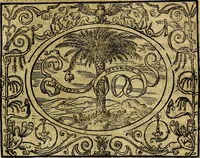 An illustration from Dialogo de las empresas militares, y amorosas, compuesto en lengua italiana, por el illvstre, y reverendissimo señor Paulo Iouio obispo de Nucera . En el qval se tracta de las devisas, armas, motes, o blasones de linages. Con vn razonemiento a esse proposito, del magnifico señot Ludouico Domeniqui. Todo nueuamente traduzido en romance castellano, por Alonso de Vlloa. Anadimos a esto las empresas heroicas, y morales, del señor Gabriel Symeon (1561)