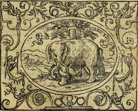 An illustration from Dialogo de las empresas militares, y amorosas, compuesto en lengua italiana, por el illvstre, y reverendissimo señor Paulo Iouio obispo de Nucera . En el qval se tracta de las devisas, armas, motes, o blasones de linages. Con vn razonemiento a esse proposito, del magnifico señot Ludouico Domeniqui. Todo nueuamente traduzido en romance castellano, por Alonso de Vlloa. Anadimos a esto las empresas heroicas, y morales, del señor Gabriel Symeon (1561)