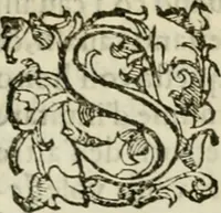An illustration from Dialogo della giostra fatta in Trivigi l'anno MDXCVII (1598)