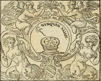 Picture 26 of 40 from Dialogo della giostra fatta in Trivigi l'anno MDXCVII (1598), leaf 105
