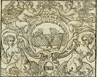 Picture 29 of 40 from Dialogo della giostra fatta in Trivigi l'anno MDXCVII (1598), leaf 124