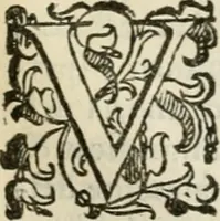 An illustration from Dialogo della giostra fatta in Trivigi l'anno MDXCVII (1598)