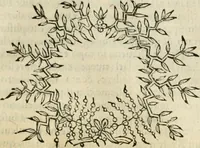 Picture 34 of 40 from Dialogo della giostra fatta in Trivigi l'anno MDXCVII (1598), leaf 150
