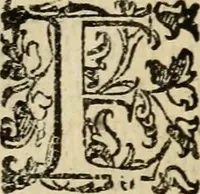 An illustration from Dialogo della giostra fatta in Trivigi l'anno MDXCVII (1598)