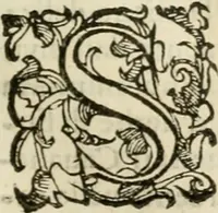 Picture 12 of 40 from Dialogo della giostra fatta in Trivigi l'anno MDXCVII (1598), leaf 36