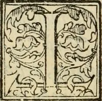 An illustration from Dialogo della giostra fatta in Trivigi l'anno MDXCVII (1598)