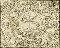 An illustration from Dialogo della giostra fatta in Trivigi l'anno MDXCVII (1598)