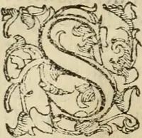 Picture 19 of 40 from Dialogo della giostra fatta in Trivigi l'anno MDXCVII (1598), leaf 87
