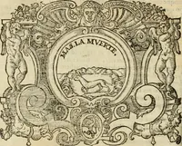 Picture 20 of 40 from Dialogo della giostra fatta in Trivigi l'anno MDXCVII (1598), leaf 89