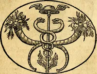 Picture 97 of 145 from Dialogo dell'imprese militari et amorose (1574), leaf 158