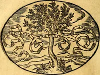 An illustration from Dialogo dell'imprese militari et amorose (1574)